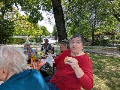 Picknick im Stadtpark – Ein gelungener Tag in der Natur – Bild 2